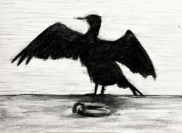 fusain cormoran